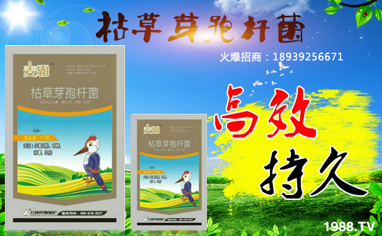 �������f������o�V��͑���������ף����u��������\(y��n)�B�B��