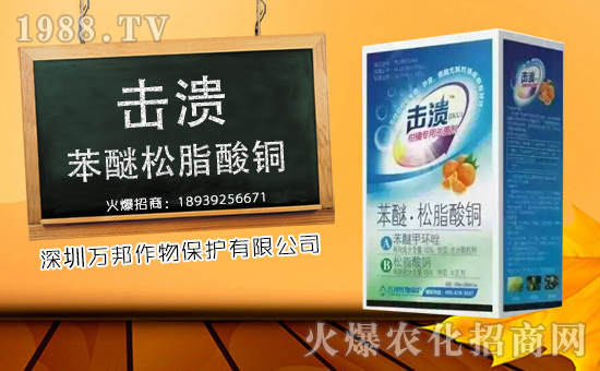 �������f������o�V��͑���������ף����u��������\(y��n)�B�B��