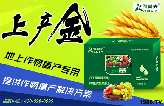 ������٤Ī�������ȫ����������ˣ�