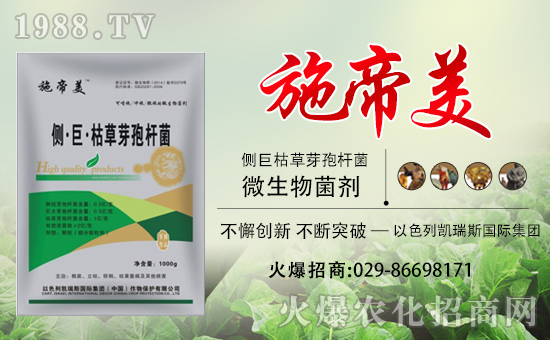 ���P��˹���F(tu��n)��ף��������d¡���H�Қg��(l��)��