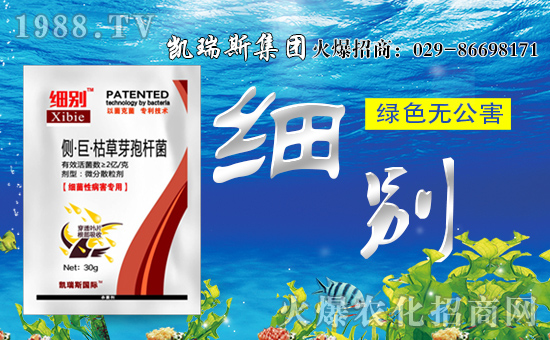 ���P��˹���F(tu��n)��ף��������d�����H�Қg��(l��)��