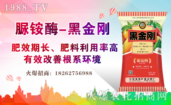 ���Kʡ�صV��(f��)�ϷʏS1