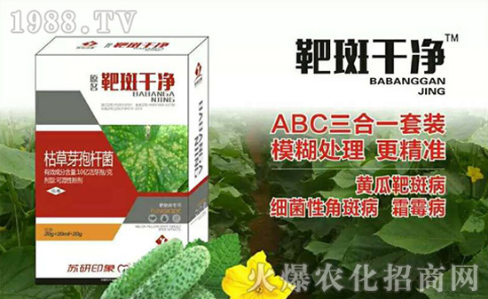 【蘇研印象】祝大家2017年心想事成,工作順利,闔家歡樂!