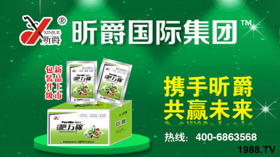 昕爵國(guó)際集團(tuán)