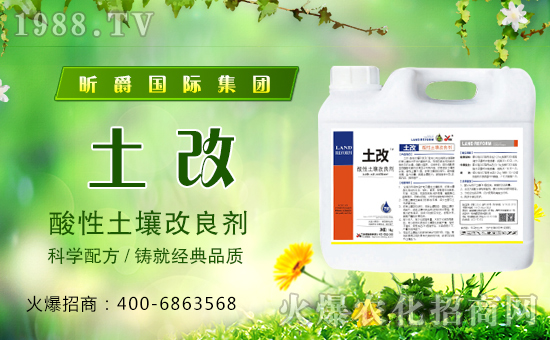 昕爵國(guó)際集團(tuán)