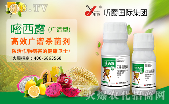 昕爵國(guó)際集團(tuán)