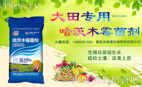 �ػʍu�����������޹�˾1