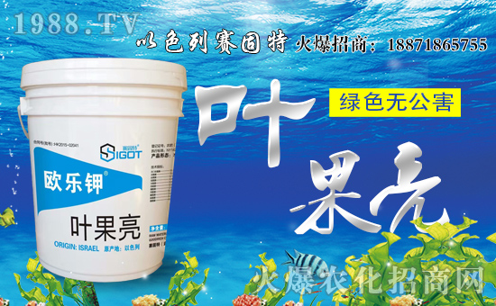 【賽固特】恭祝新老客戶雞年行大運,財源滾滾來!