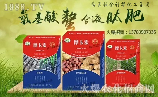 ���m(li��n)�����A�������F