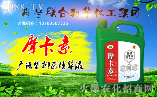 ���m(li��n)�����A�������F