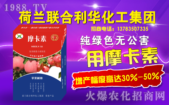 ���m(li��n)�����A�������F