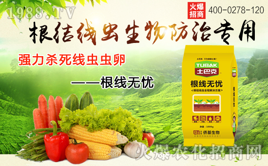 �Ϻ��S������Ƽ����޹�˾1