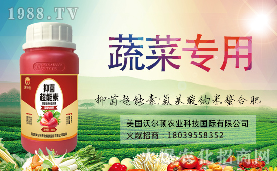 ������(gu��)�֠��D����ף�������옷(l��)���f(w��n)��������