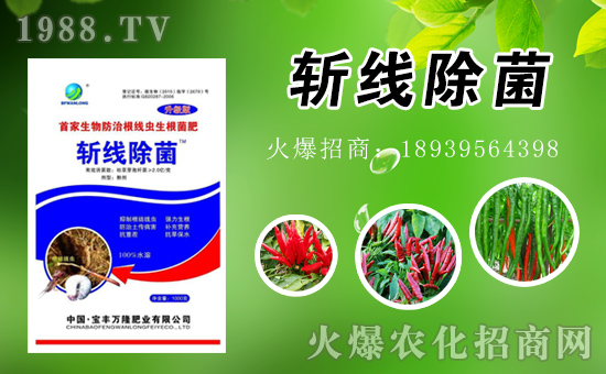 寶豐萬隆全體員工祝大家新年好!