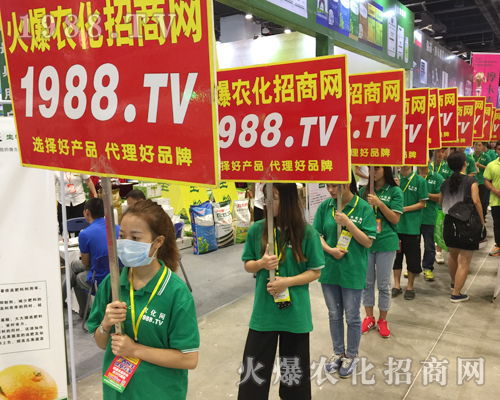     ���r���W����2017�ό��r�Y���[���������`����