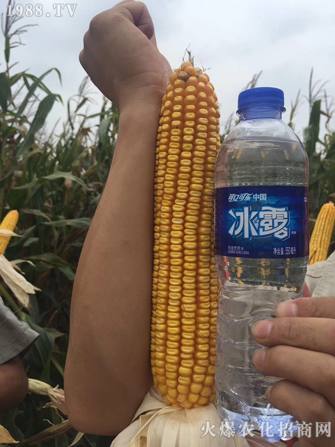 �����ʢ�ʘI(y��)�Ƽ����޹�˾5