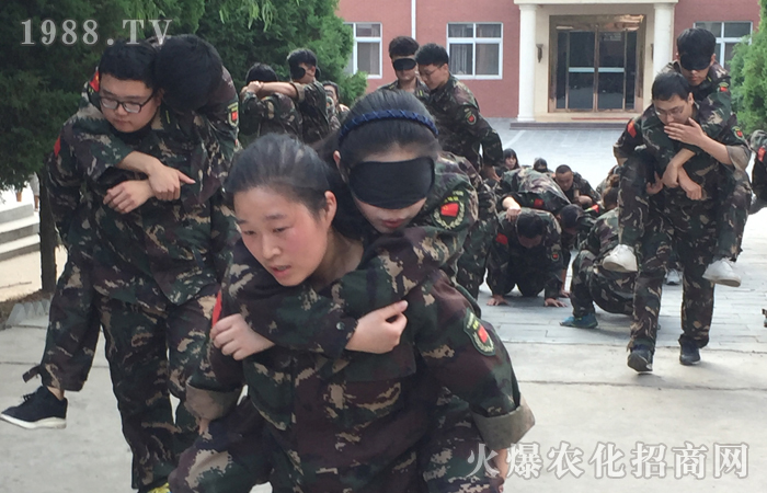 ��֮��������������