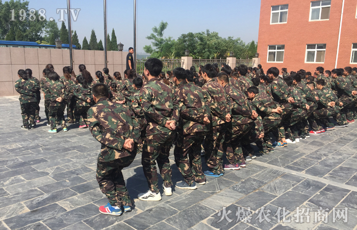 ���w�O�޵�����(zh��n)�������ϴ�Y