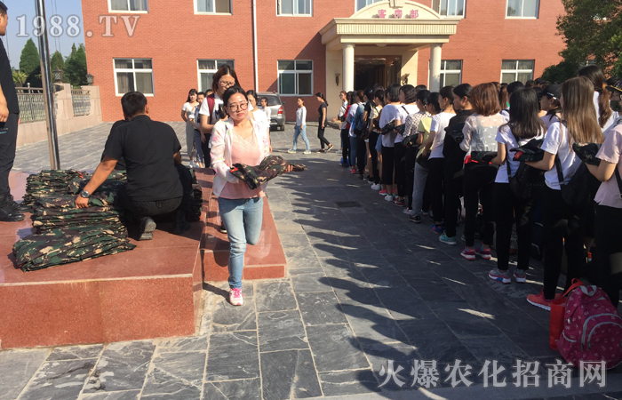 做好自己,全力以赴