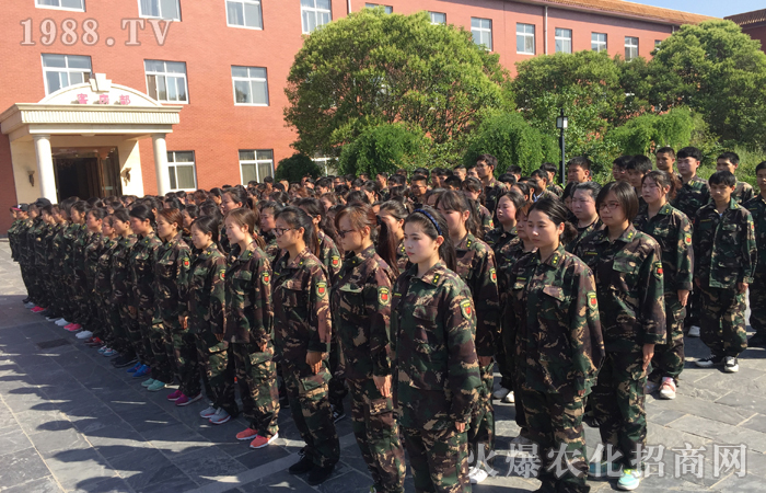  ��Ӗ�����w�������w������������������빤��