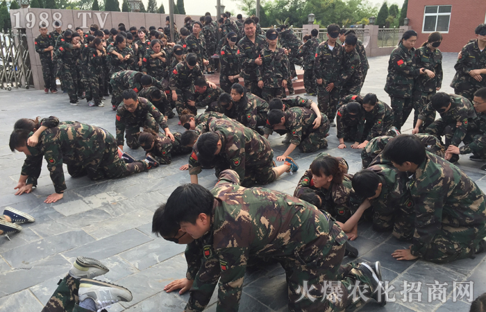  ��Ӗ�����w�������w������������������빤��