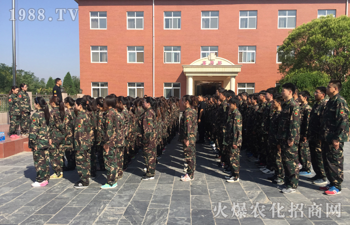 ����(zh��n)�O���������o(w��)��