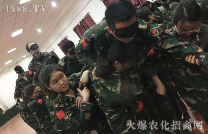 ��F꠶���(zh��n)���T���܊����