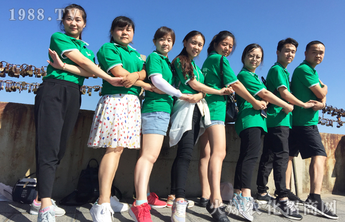 白云之巔我爭先