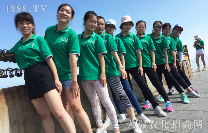 洛陽白云山,感受云海之上的壯美