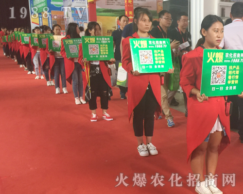 ������������w����2017�������r�Y����1988.TV���݁��u