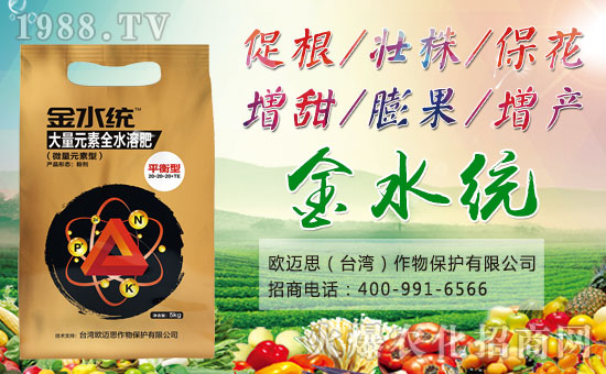 ���W�~˼��ȫ�w�T����ףȫ��(gu��)��(j��ng)�N�����w���������꼪�飡