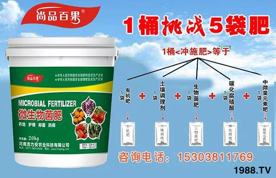 �����ϼ�������ȫ�w�T����ף�������옷������������