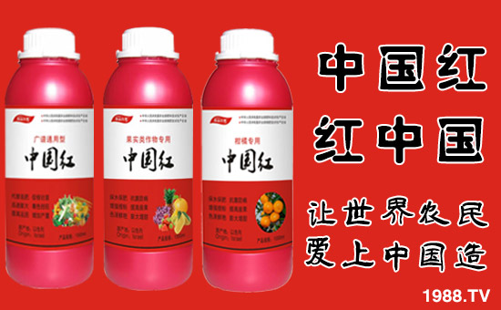 �����ϼ�������ȫ�w�T����ף�������옷������������