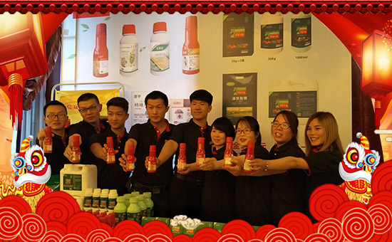 �����ϼ�������ȫ�w�T����ף�������옷������������