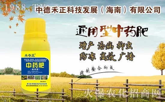 �����������еº���ף��������w������ؔ(c��i)Դ�L�L����