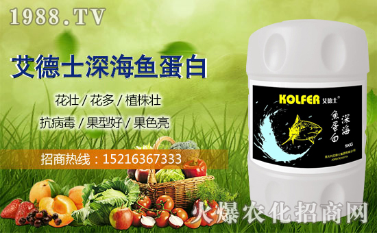 ӭ�´������굽������ʿף����µ�һ������¶��!Ц�ݶ��!