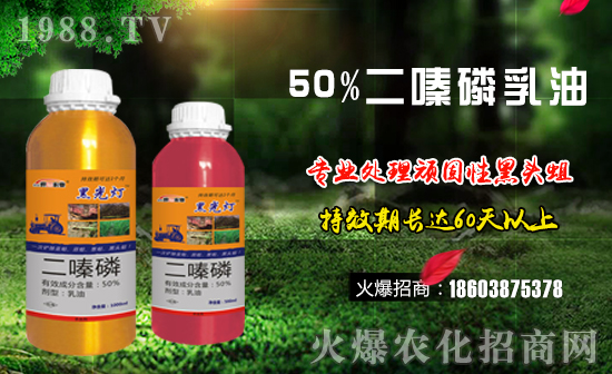 ����������ף����µ�һ�����f��������������棡