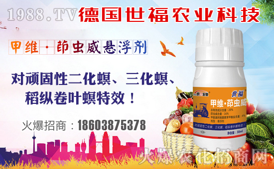 ����������ף����µ�һ�����f�����������������