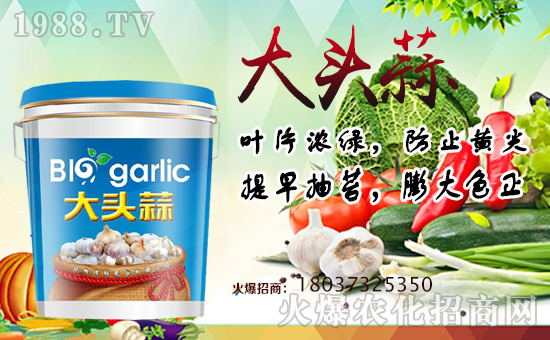 �����ƷʘI(y��)��ף������µ�һ����ؔԴ�L�L����