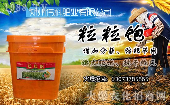 �����ƷʘI(y��)��ף������µ�һ����ؔԴ�L�L����