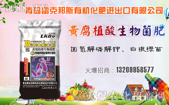 ���׿˰�˹��ף������µ�һ�����Ҹ����M���H�Қg����