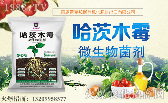 ���׿˰�˹��ף������µ�һ�����Ҹ����M���H�Қg����