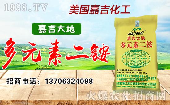 �����μ������M(j��n)���ڼ��F(tu��n)���޹�˾