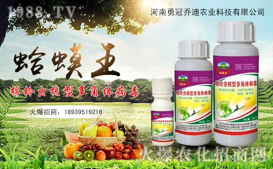 【勇冠喬迪】祝大家在新的一年里萬事如意,狗年大吉!