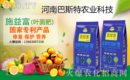 ����˹���r�I(y��)��ף������µ�һ�������w���������������