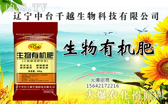 【中臺千越】金犬叩響吉利門,福旺財源滾滾進