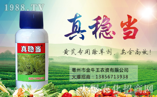 ����ţ����ף��ҹ���󼪣��f��������