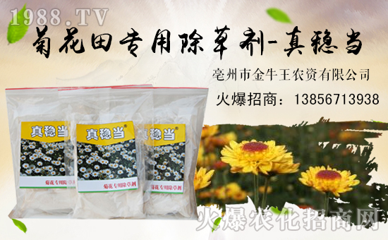 ����ţ����ף��ҹ�������f�����⣡