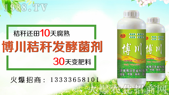 �������r(n��ng)�I(y��)��������ף�������옷���f��������