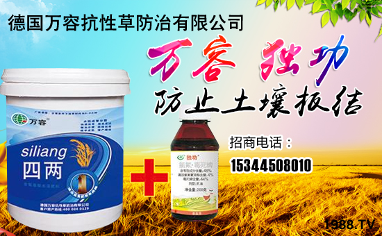 �����f�ݡ�ȫ�w�T����ףȫ����(j��ng)�N�����w����������l(f��)��ؔ(c��i)��